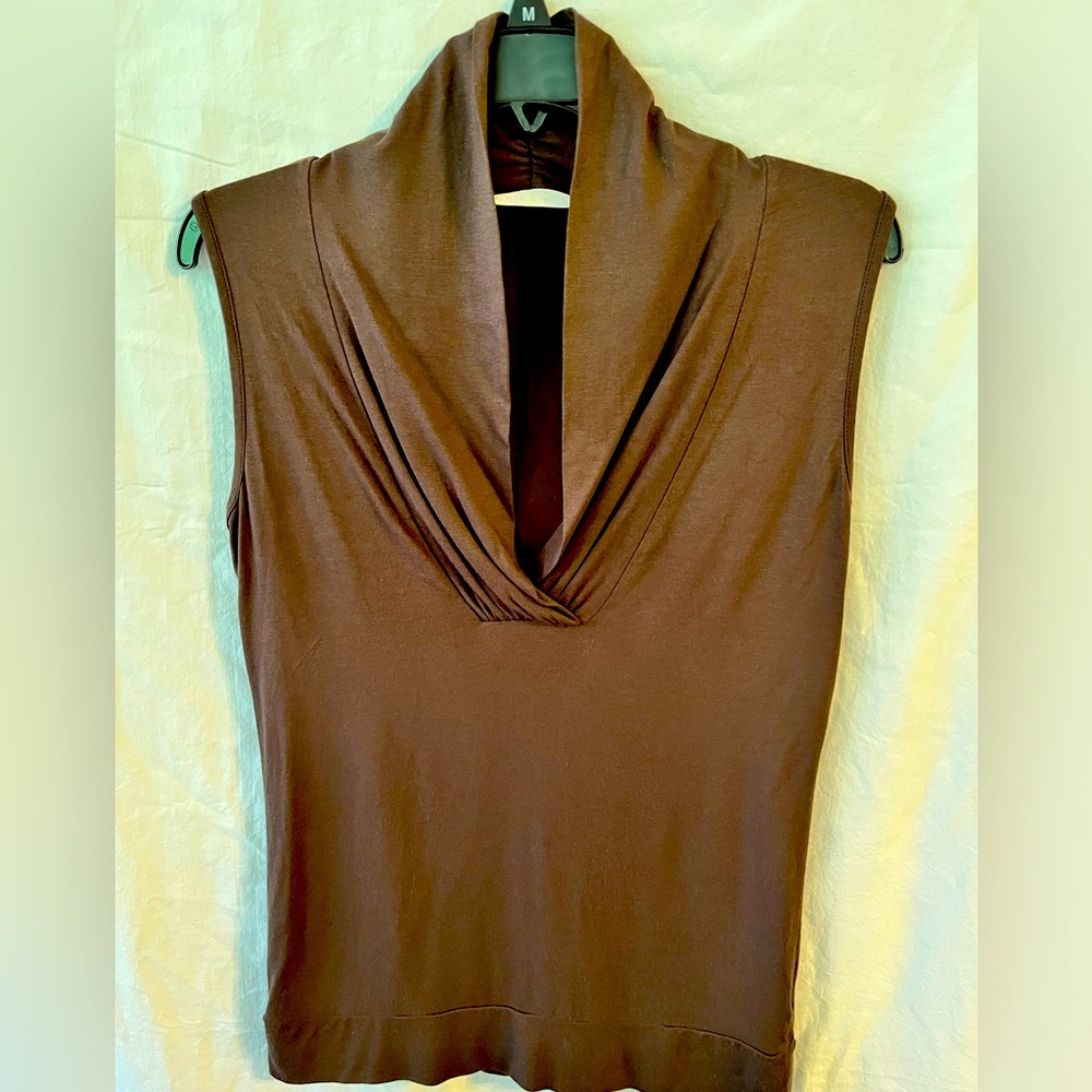 Brown V Neck Sleeveless Top by Tweeds